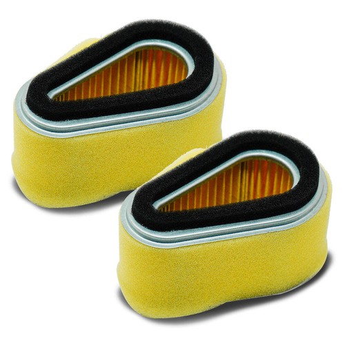 2pk air filter combo for - 2pk,