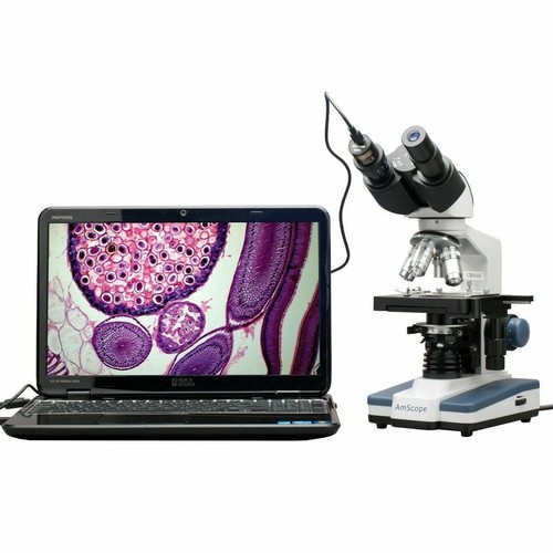 Microscope binoculaire - microscope,