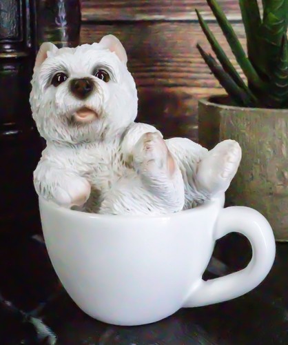 Realistic mini adorable - adorable, west
