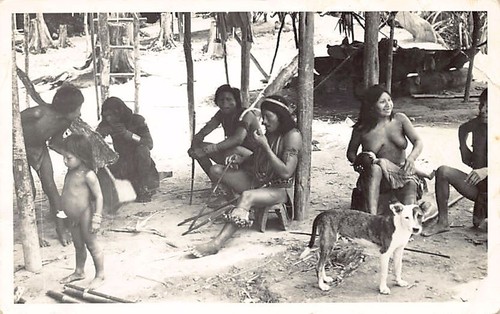 Guyane kourou village - -,