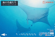 Carte JAPON - ANIMAL SERIE NAUI DIVING 4/8 - POISSON RAIE MANTA RAY JAPAN card 