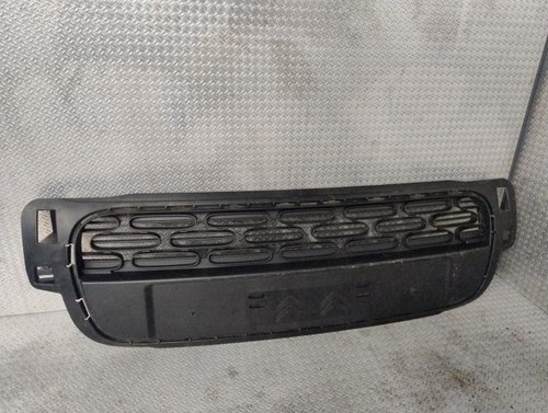 Grille pare choc - grille,