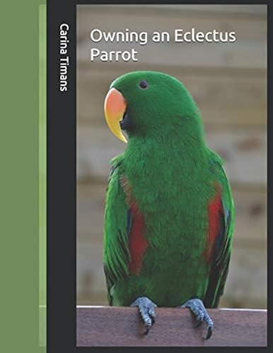 Owning eclectus parrot - owning, an
