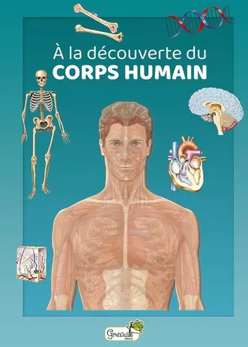 Découverte du corps - la,