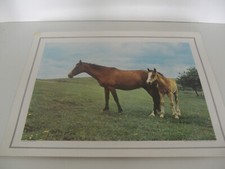 ANCIENNE PLANCHE AFFICHE