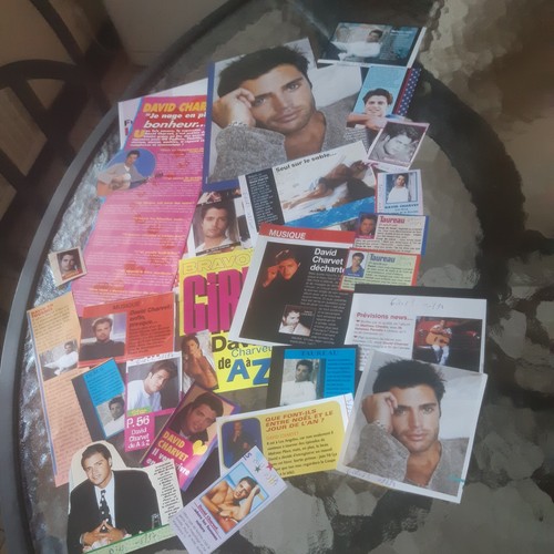 David charvet presse - david,