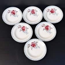 Lot 6 assiettes plates fleur