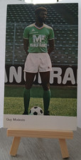 Carte football 1976 1977 ASSE Joueur GUY MODESTE foot maillot Manufrance ancien 