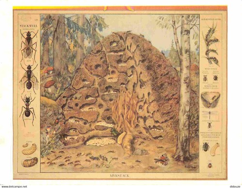 Carte postale suède - carte,