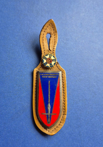 Insigne militaire saint cyr - insigne,