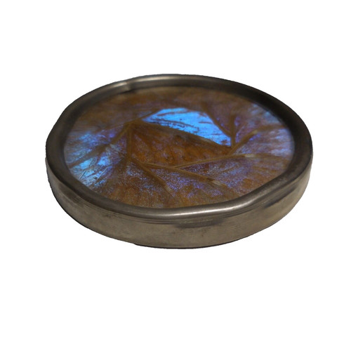 N24 256 vitrail feuillage - vitrail,