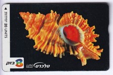 ASIE  TELECARTE / PHONECARD .. ISRAEL 20U L&G 210G COQUILLAGE SHELL