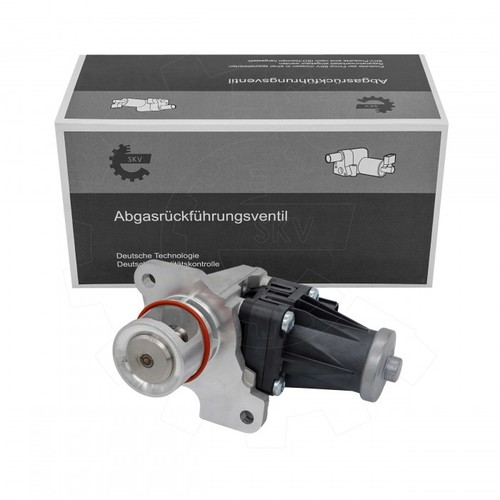Skv valves egr 8200129863 - skv, for