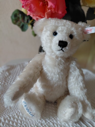Ours ancien steiff océane - ancien,