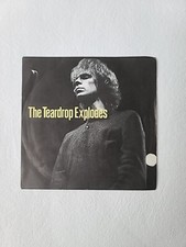 the teardrop explodes : you