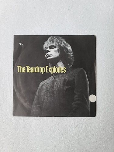 The teardrop explodes you - explodes,