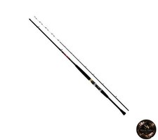 Canne à pêche Daiwa DAIWA
