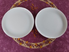 2 Grandes Assiettes Plates ou