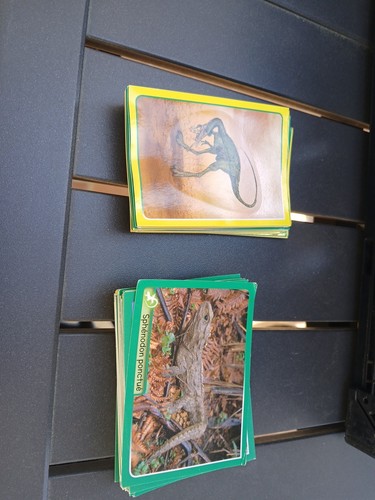 Lot 130 vignettes panini - 130,