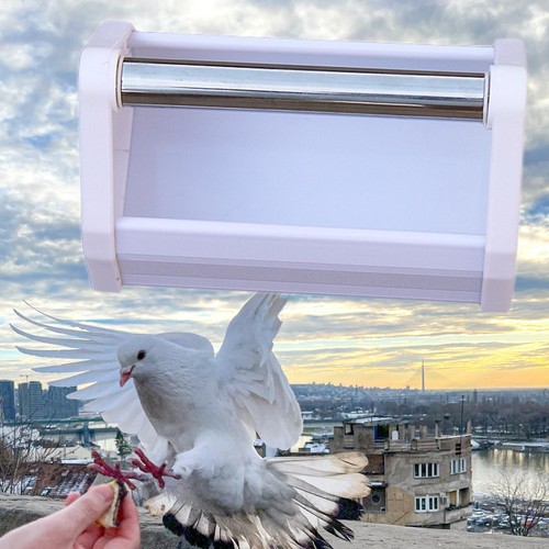Mangeoire pigeons - à,