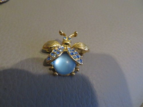 Ancienne broche insecte dans - insecte,