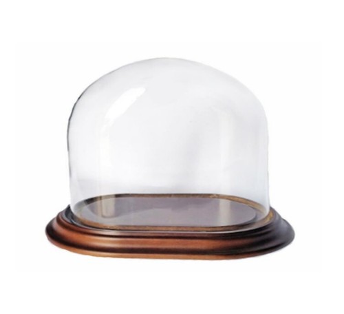 Cloche verre ovale avec - cloche,