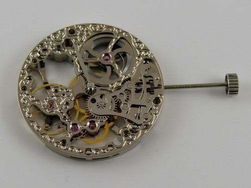 Montre squelette type - montre, mouette