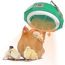 Lampe Chauffante Poussin