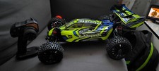 Hobbytech Rogue buggy 1/8 voiture RC