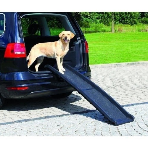 Rampe acces pour chien - rampe, et