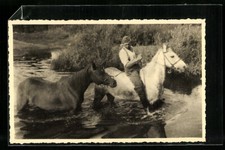 Photo-Carte Soldat avec Deux Chevaux Dans Eau