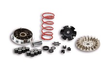 Variateur MALOSSI MHR Team