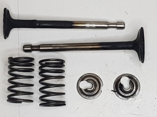 Soupapes moteur briggs - moteur,