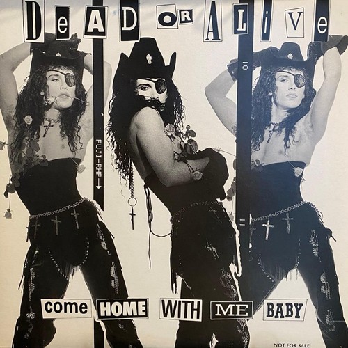 Dead alive come home - or,
