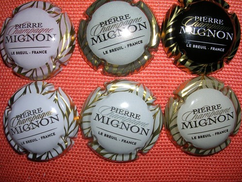 Capsule champagne mignon - capsule,