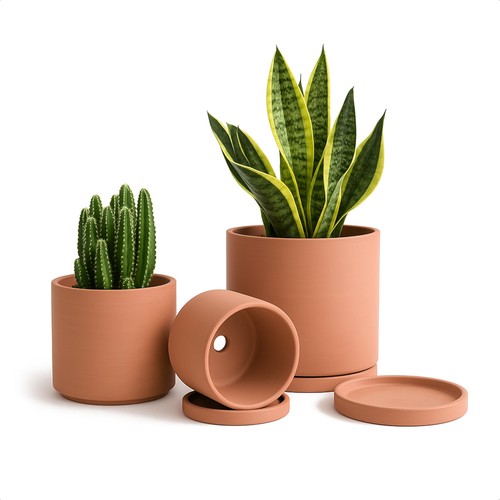 Pots terre cuite pour - pots,