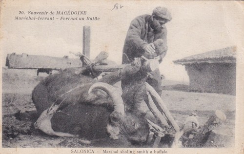 Carte postale grece - carte,