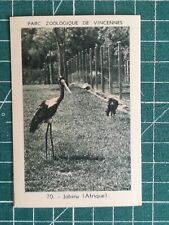 Vr269 chromo parc zoologique de Vincennes Zoo - N°70 Jabiru Afrique