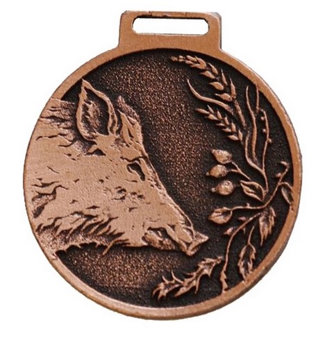 Sanglier déco médaille - sanglier,