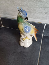 Ancien oiseau perroquet