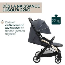 poussette Inglesina Aptica