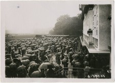 Photo de Presse Meurisse Argentique Longchamp Sous la Pluie Parapluie Vers 1930