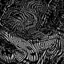 Sebenza by LV [CD] NEUF