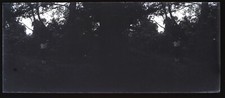 Enfant Sous-Bois c1930 Photo NEGATIVE Plaque de verre Stereo V36L2n 