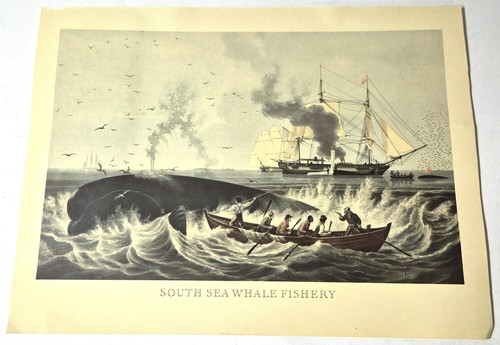 Impression maritime vintage - maritime,