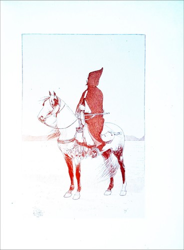 Algérie cavalier arabe en - algÉrie,