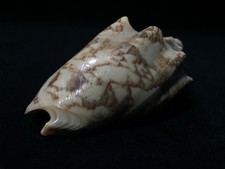 B1188 / Coquille Okimono / Décoration Intérieure / Vintage Japonais