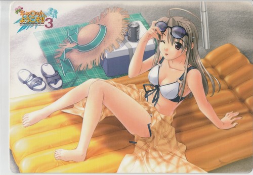 Pia carott carte shitajiki - 3,