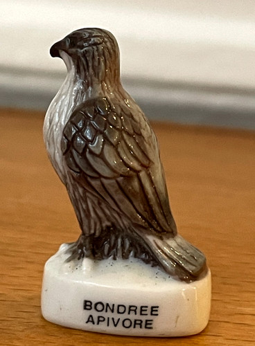 Fève oiseau bondree - bondree, apivore