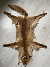 Peau de Renard _ Fox Skin